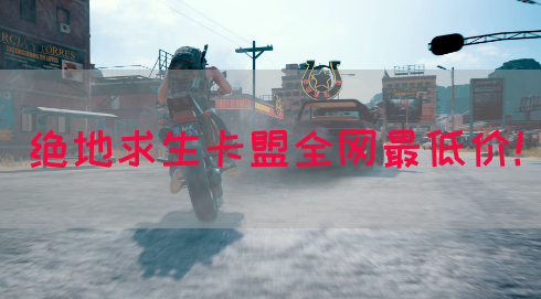 绝地求生卡盟全网最低价！(图1)