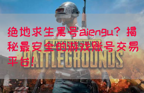 绝地求生黑号aiengu？揭秘最安全的游戏账号交易平台！(图1)