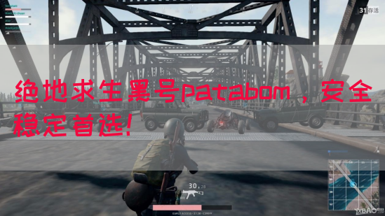 绝地求生黑号patabom，安全稳定首选！(图1)