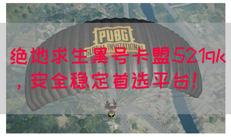 绝地求生黑号卡盟521qk，安全稳定首选平台！(图1)