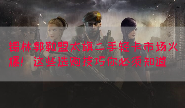 锡林郭勒盟太旗二手轻卡市场火爆！这些选购技巧你必须知道(图1)