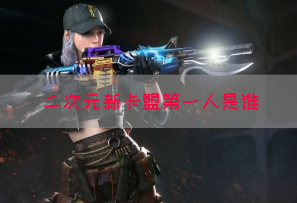 二次元新卡盟第一人是谁(图1)