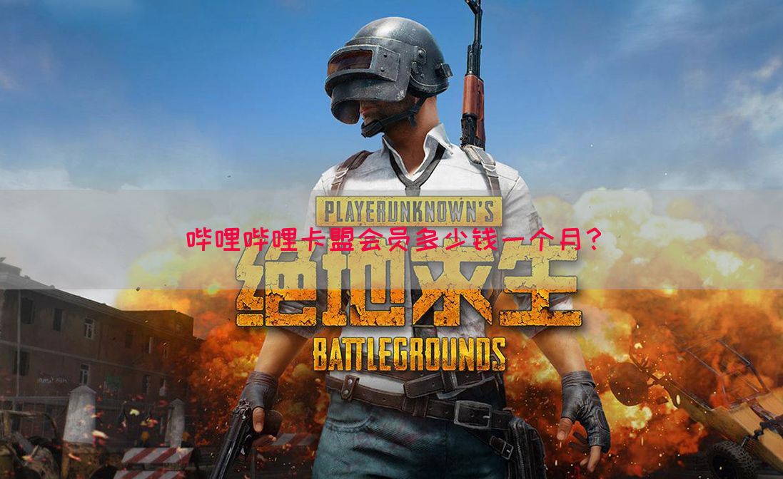 哔哩哔哩卡盟会员多少钱一个月？(图1)