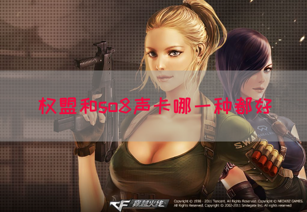 权盟和so8声卡哪一种都好(图1)