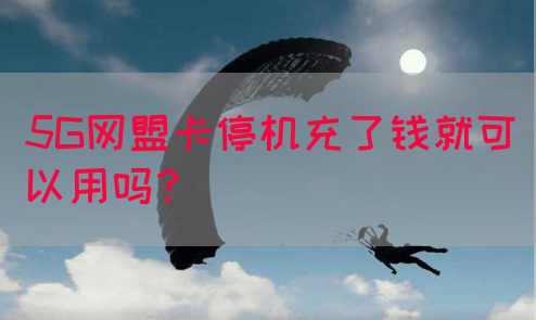 5G网盟卡停机充了钱就可以用吗？(图1)