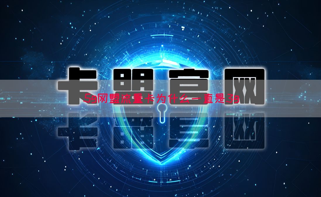 5g网盟流量卡为什么一直是3g(图1)
