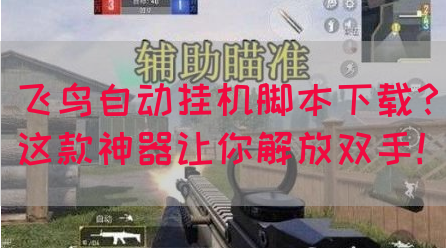 飞鸟自动挂机脚本下载？这款神器让你解放双手！(图1)