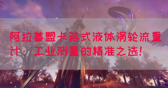 阿拉善盟卡箍式液体涡轮流量计：工业测量的精准之选！(图1)