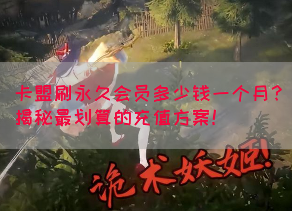 卡盟刷永久会员多少钱一个月？揭秘最划算的充值方案！(图1)