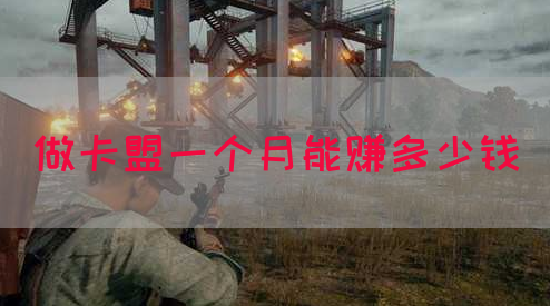 做卡盟一个月能赚多少钱(图1)