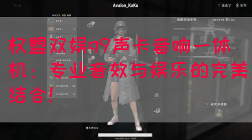 权盟双娱q9声卡音响一体机：专业音效与娱乐的完美结合！(图1)