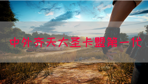 中外齐天大圣卡盟第一代(图1)
