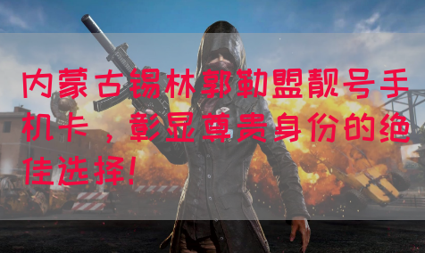 内蒙古锡林郭勒盟靓号手机卡，彰显尊贵身份的绝佳选择！(图1)