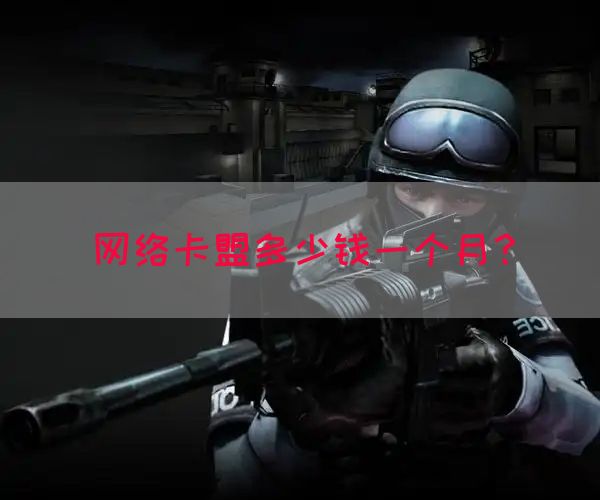 网络卡盟多少钱一个月？(图1)
