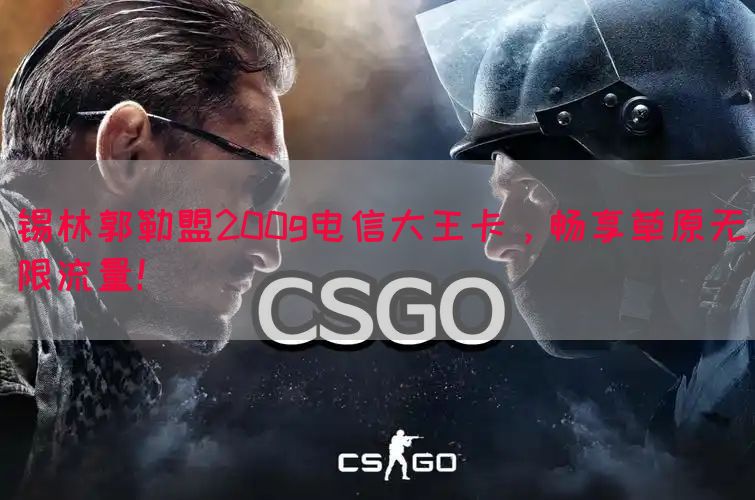 锡林郭勒盟200g电信大王卡，畅享草原无限流量！(图1)