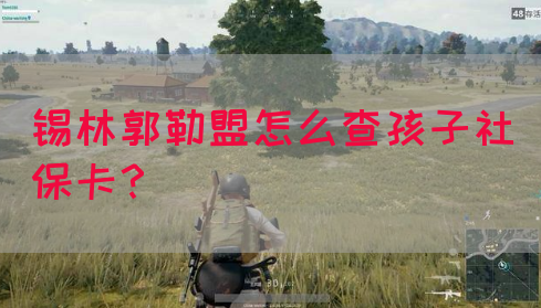 锡林郭勒盟怎么查孩子社保卡？(图1)