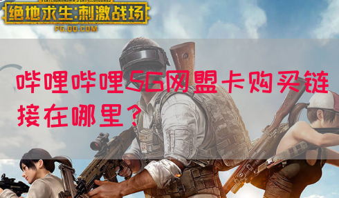 哔哩哔哩5G网盟卡购买链接在哪里？(图1)