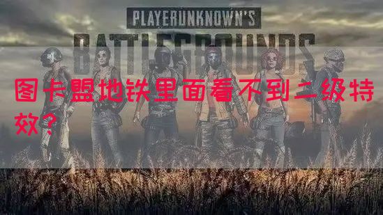 图卡盟地铁里面看不到二级特效？(图1)