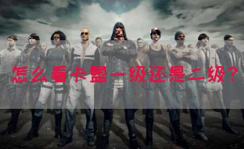 怎么看卡盟一级还是二级？(图1)