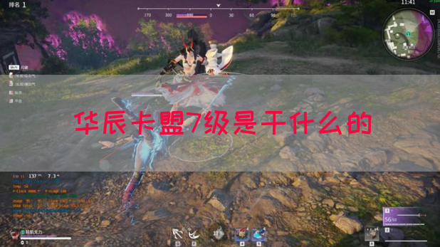 华辰卡盟7级是干什么的(图1)