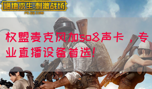 权盟麦克风加so8声卡，专业直播设备首选！(图1)