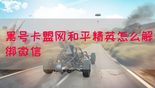 黑号卡盟网和平精英怎么解绑微信(图1)