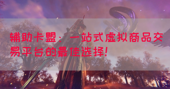 辅助卡盟：一站式虚拟商品交易平台的最佳选择！(图1)
