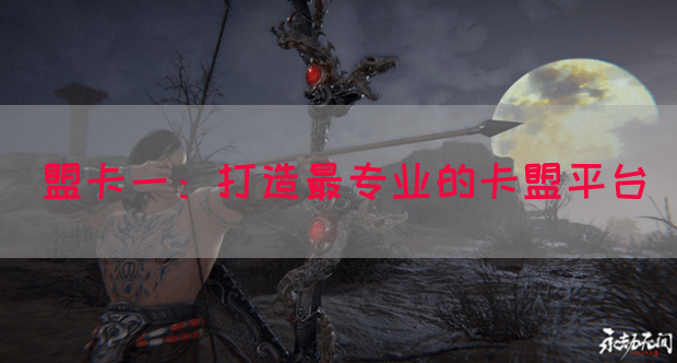 盟卡一：打造最专业的卡盟平台(图1)