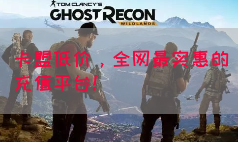 卡盟低价，全网最实惠的充值平台！(图1)