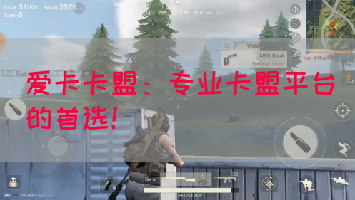 爱卡卡盟：专业卡盟平台的首选！(图1)