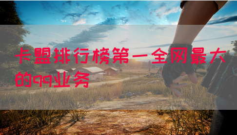 卡盟排行榜第一全网最大的qq业务(图1)