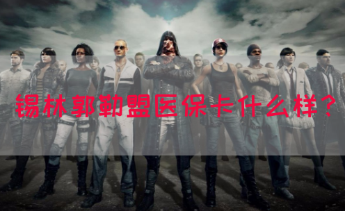 锡林郭勒盟医保卡什么样？(图1)