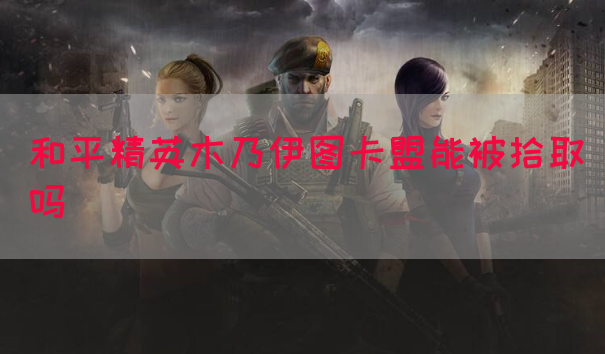 和平精英木乃伊图卡盟能被拾取吗(图1)