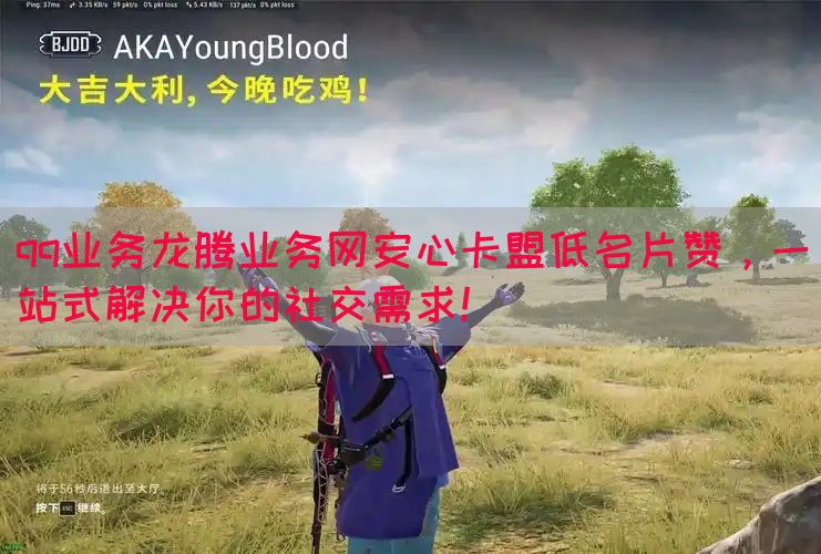 qq业务龙腾业务网安心卡盟低名片赞，一站式解决你的社交需求！(图1)