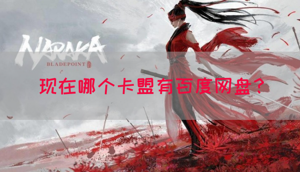 现在哪个卡盟有百度网盘？(图1)