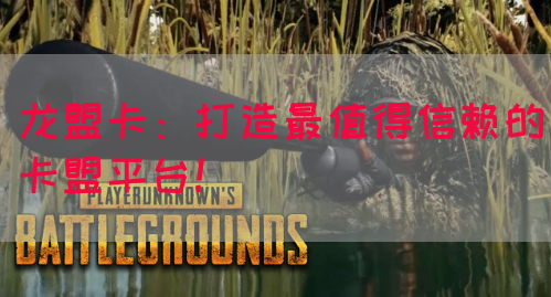 龙盟卡：打造最值得信赖的卡盟平台！(图1)