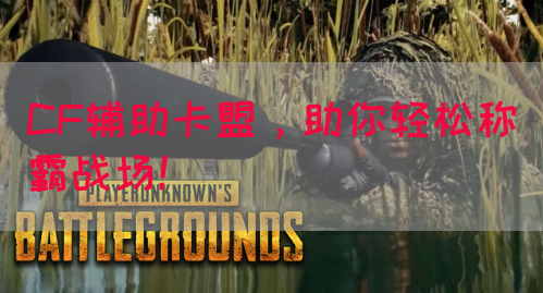 CF辅助卡盟，助你轻松称霸战场！(图1)