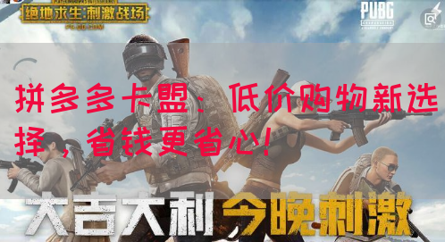 拼多多卡盟：低价购物新选择，省钱更省心！(图1)