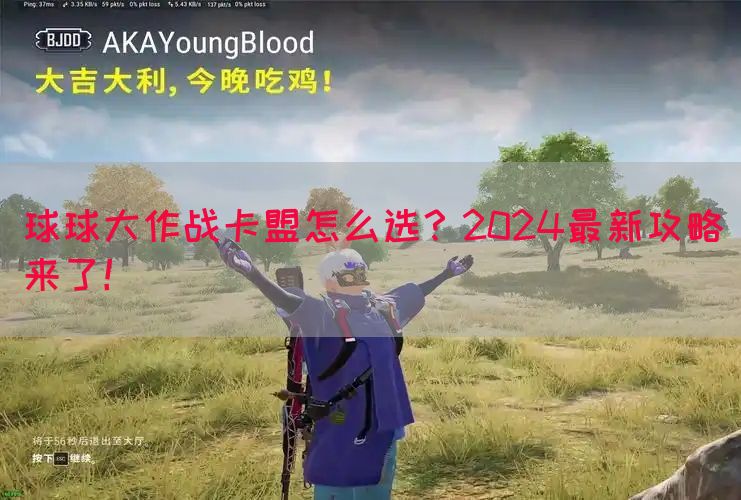 球球大作战卡盟怎么选？2024最新攻略来了！(图1)