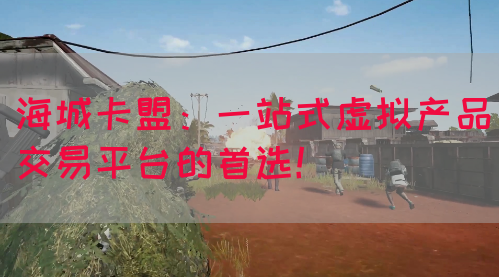 海城卡盟：一站式虚拟产品交易平台的首选！(图1)
