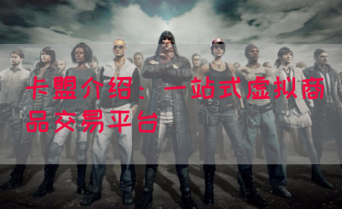 卡盟介绍：一站式虚拟商品交易平台(图1)