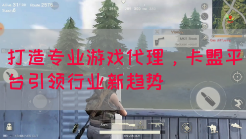 打造专业游戏代理，卡盟平台引领行业新趋势