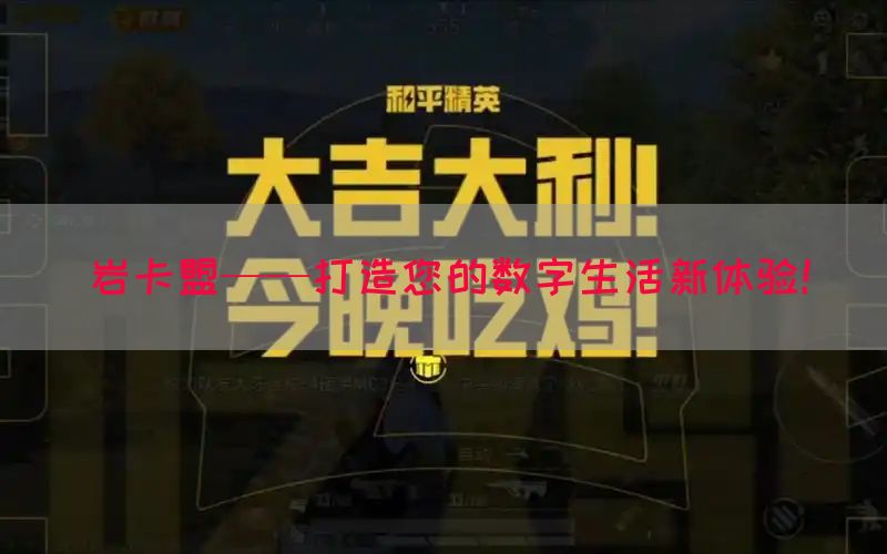岩卡盟——打造您的数字生活新体验！(图1)