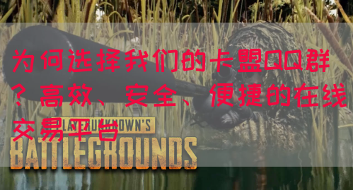 为何选择我们的卡盟QQ群？高效、安全、便捷的在线交易平台(图1)