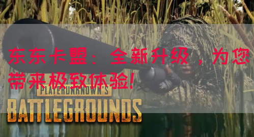 东东卡盟：全新升级，为您带来极致体验！(图1)