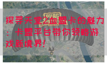探寻天堂2血盟卡的魅力：卡盟平台带你领略游戏新境界！(图1)