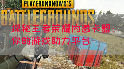 探秘王者荣耀内透卡盟：你的游戏助力平台(图1)