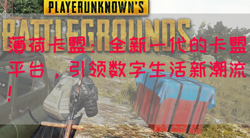 薄荷卡盟：全新一代的卡盟平台，引领数字生活新潮流！(图1)