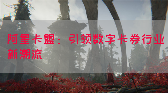 阿星卡盟：引领数字卡券行业新潮流(图1)