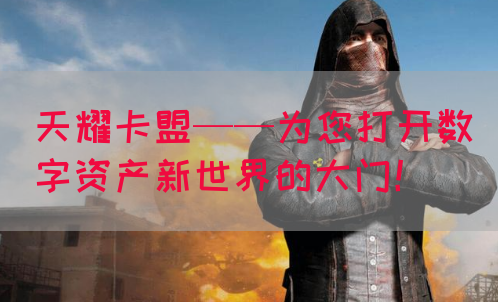 天耀卡盟——为您打开数字资产新世界的大门！(图1)